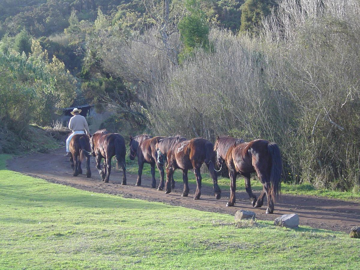 Relais Du Volcan Plaine des Cafres Bagian luar foto