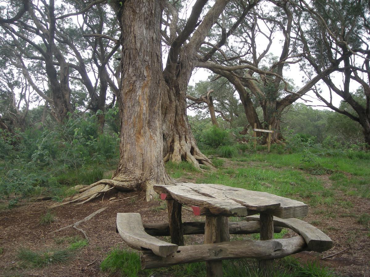 Relais Du Volcan Plaine des Cafres Bagian luar foto