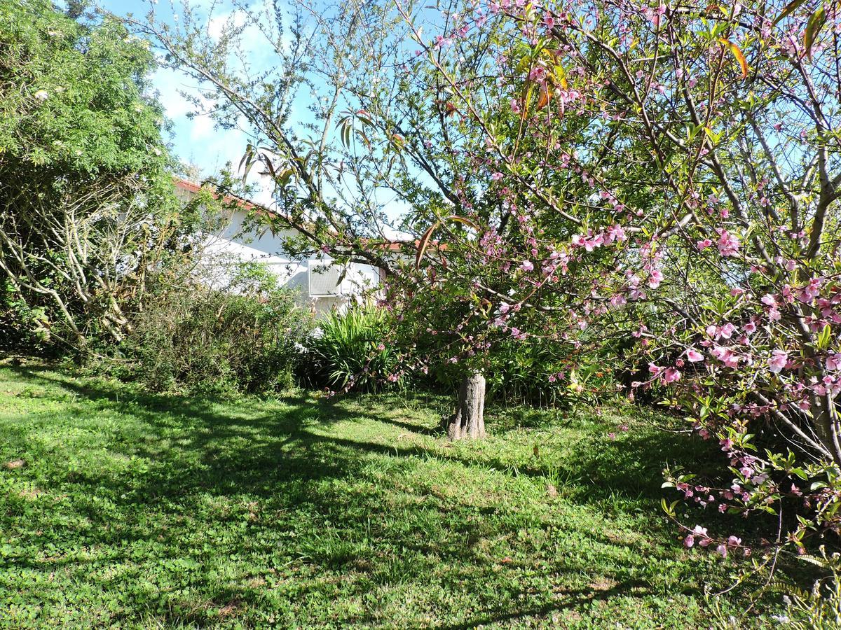 Relais Du Volcan Plaine des Cafres Bagian luar foto